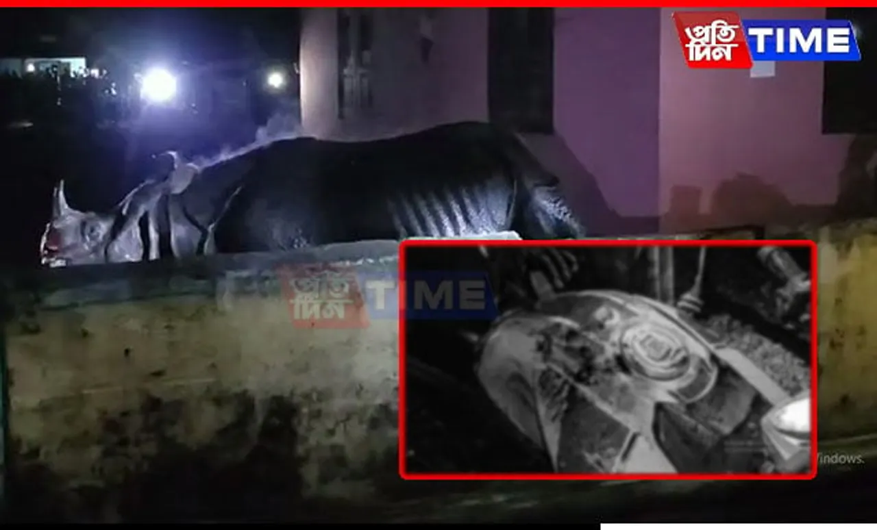 Rhino Sparks Panic After Entering Madrasa Premises in Assam's Biswanath