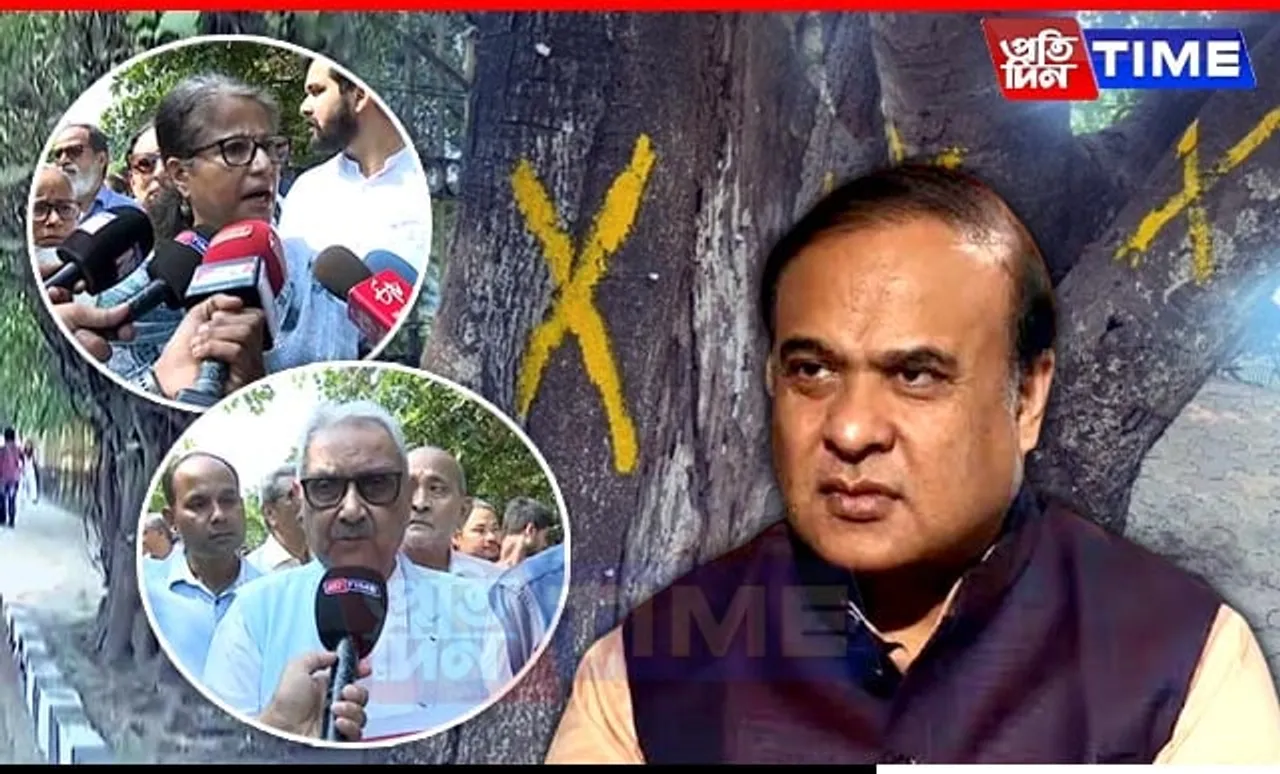 Himanta's Eco-Dilemma: Promoting Conservation While Cutting Down Trees?
