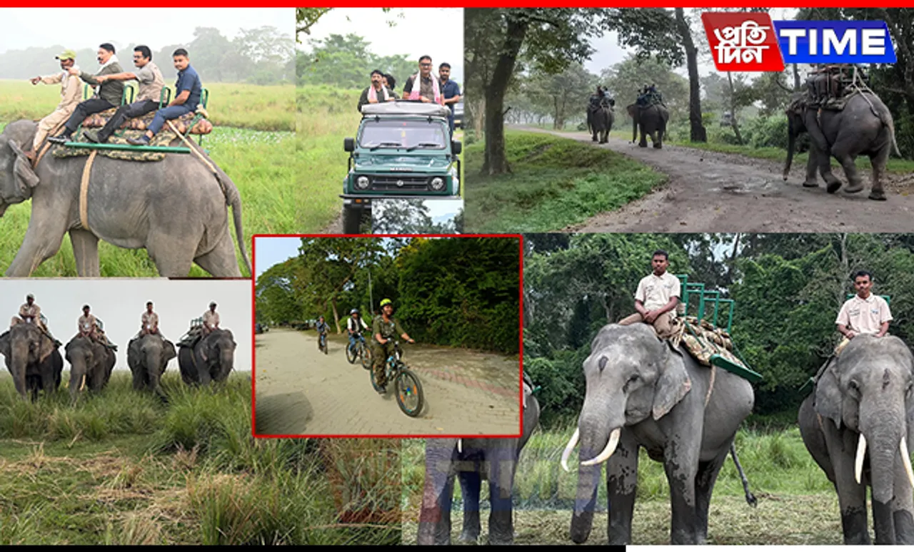 Kaziranga National Park Welcomes Visitors with Expanded Safari Options