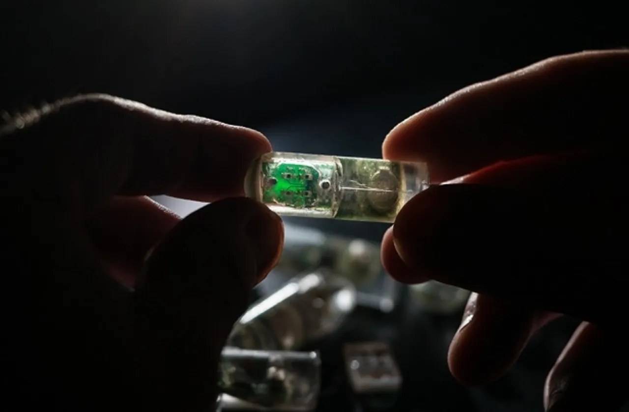 MIT designs ingestible ‘bacteria on a chip’ that can diagnose diseases