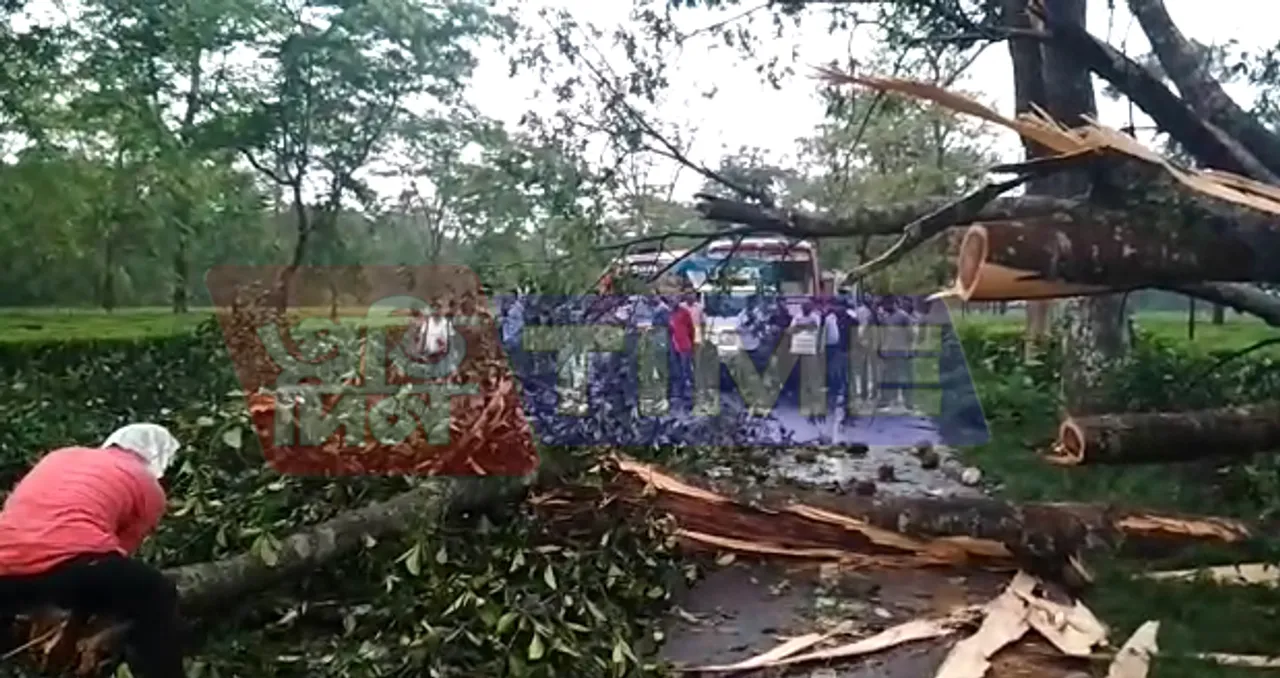 Storm lashes parts of Assam
