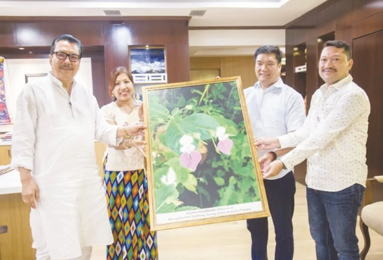 Arunachal botanist names new flower species after former CM Dorjee Khandu