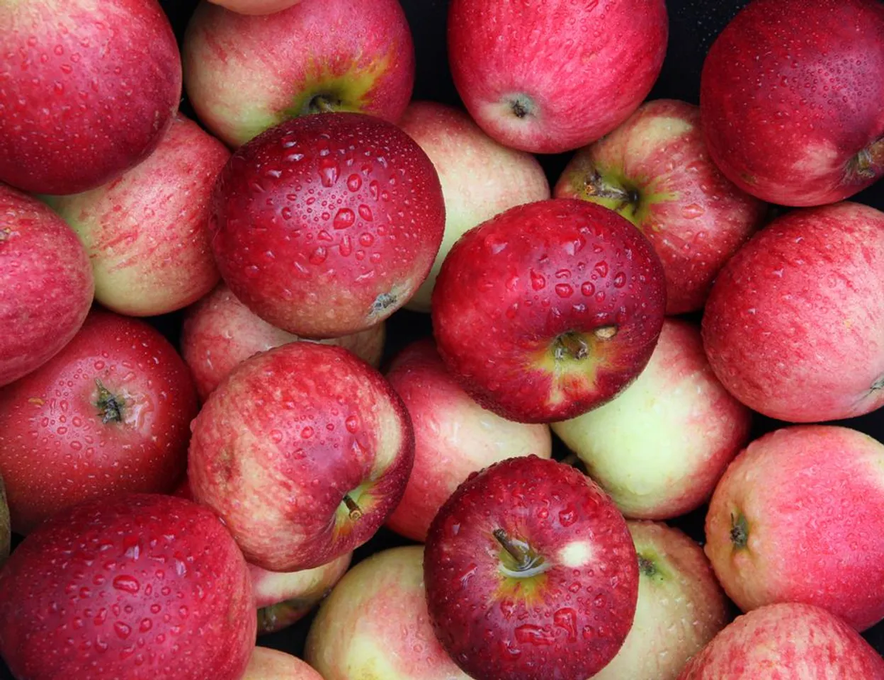 After carbide stuffed mangoes, coloured apples flood markets