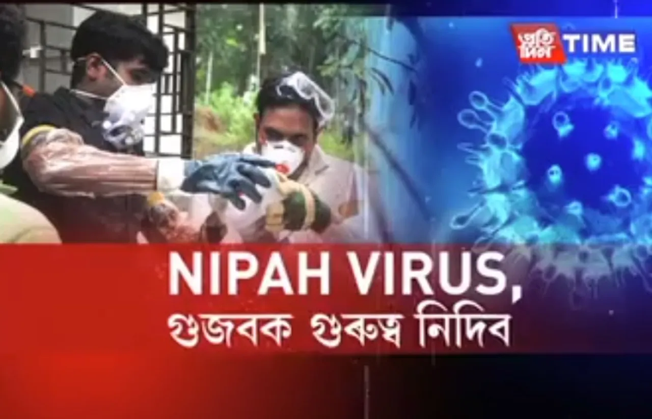 Don’t fall prey to rumours | Nipah virus not yet detected in Assam