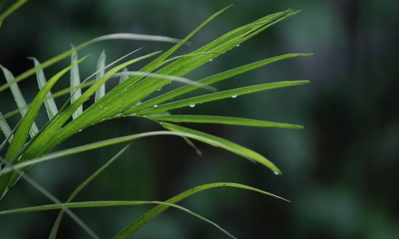 Rain to continue in Northeast with reduced intensity