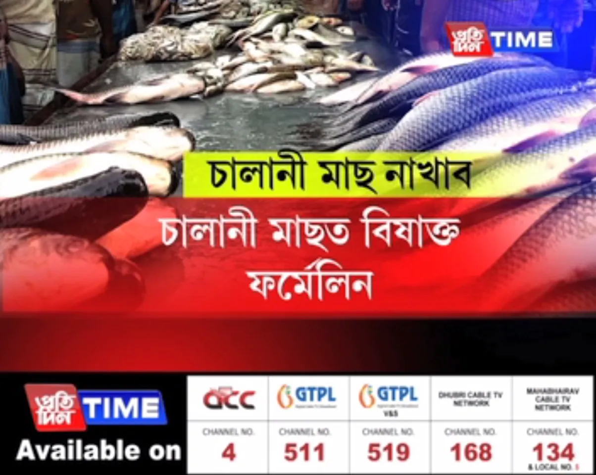 Government bans fish imports pertaining to presence of Formalin
