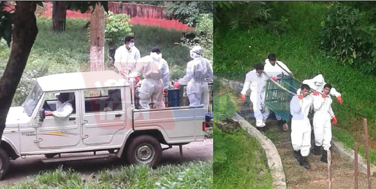 Twenty animals mysteriously die in 5 days at Assam state zoo