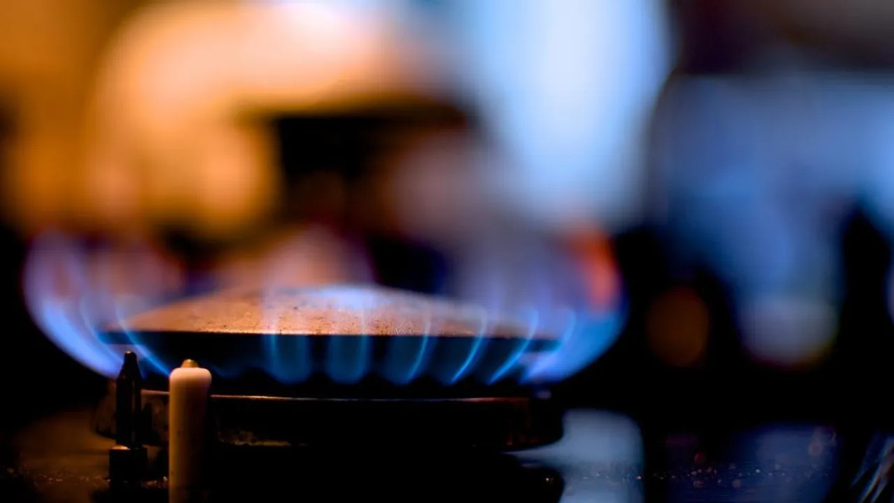 Methanol as alternate cooking fuel in Assam soon