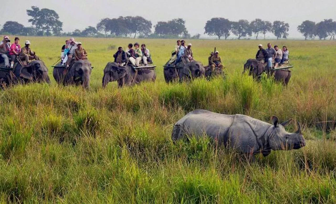Kaziranga National Park Reopens
