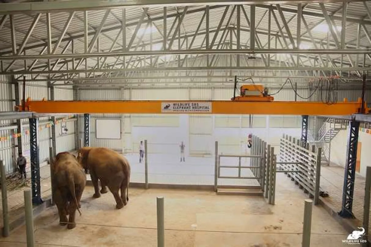 India’s first Elephant hospital opens in Mathura