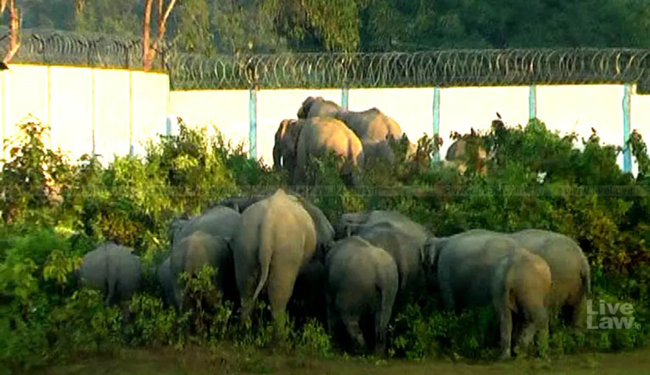 “No expansion of NRL Township in elephant corridor”: SC