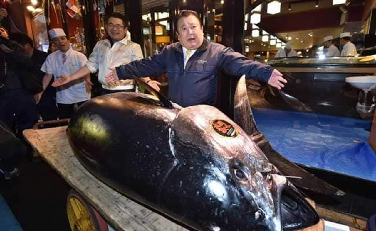 Rs 21.55 crore for one Tuna fish