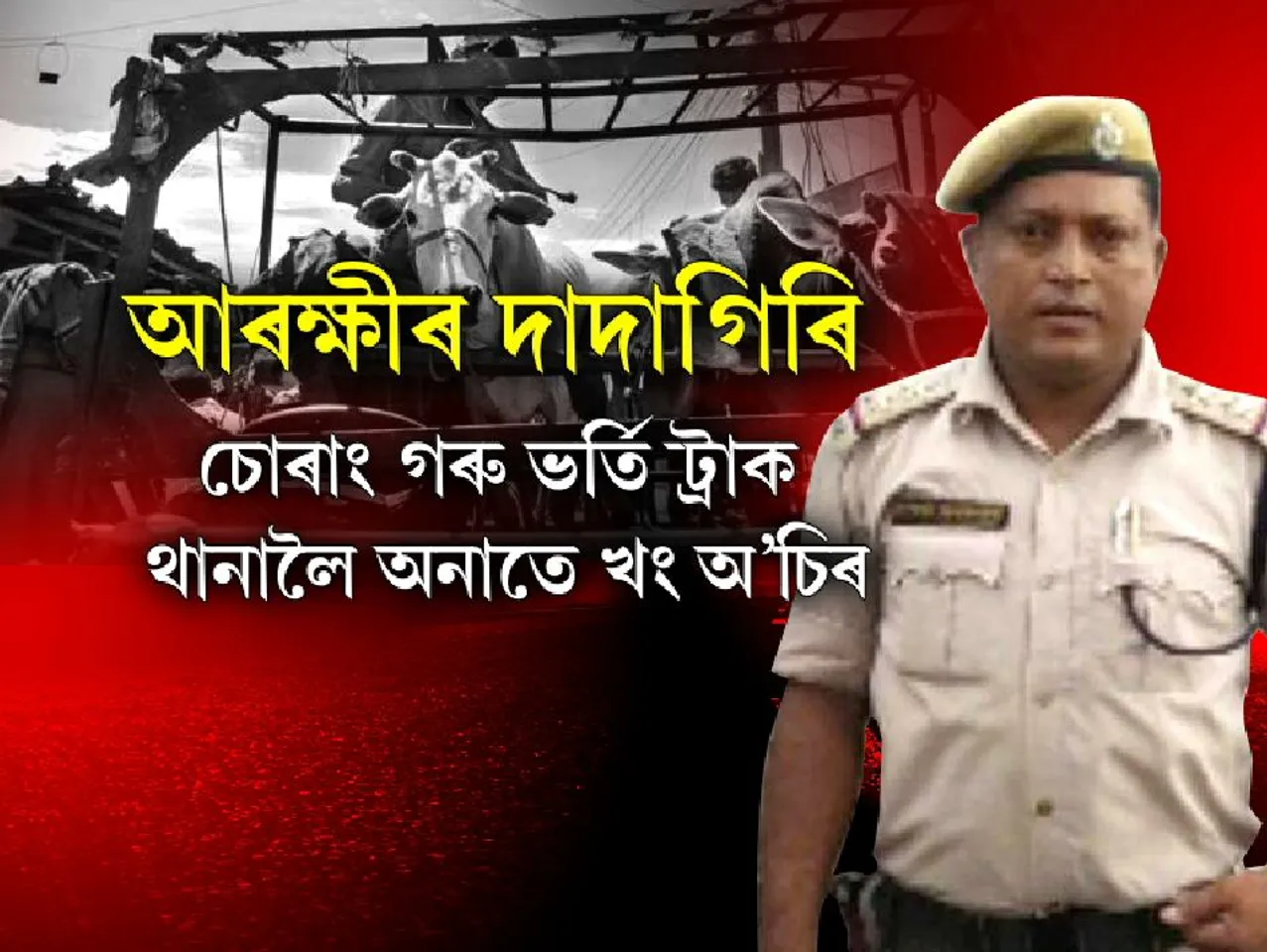 Chirang: Is the police involved in cow smuggling?