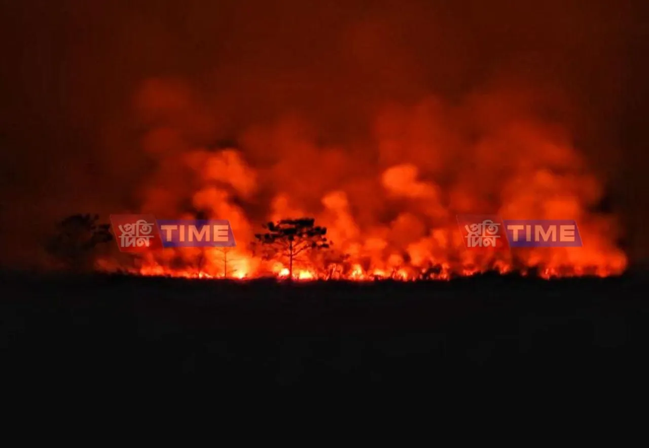 Massive Fire Breaks out Near Dibru-Saikhowa