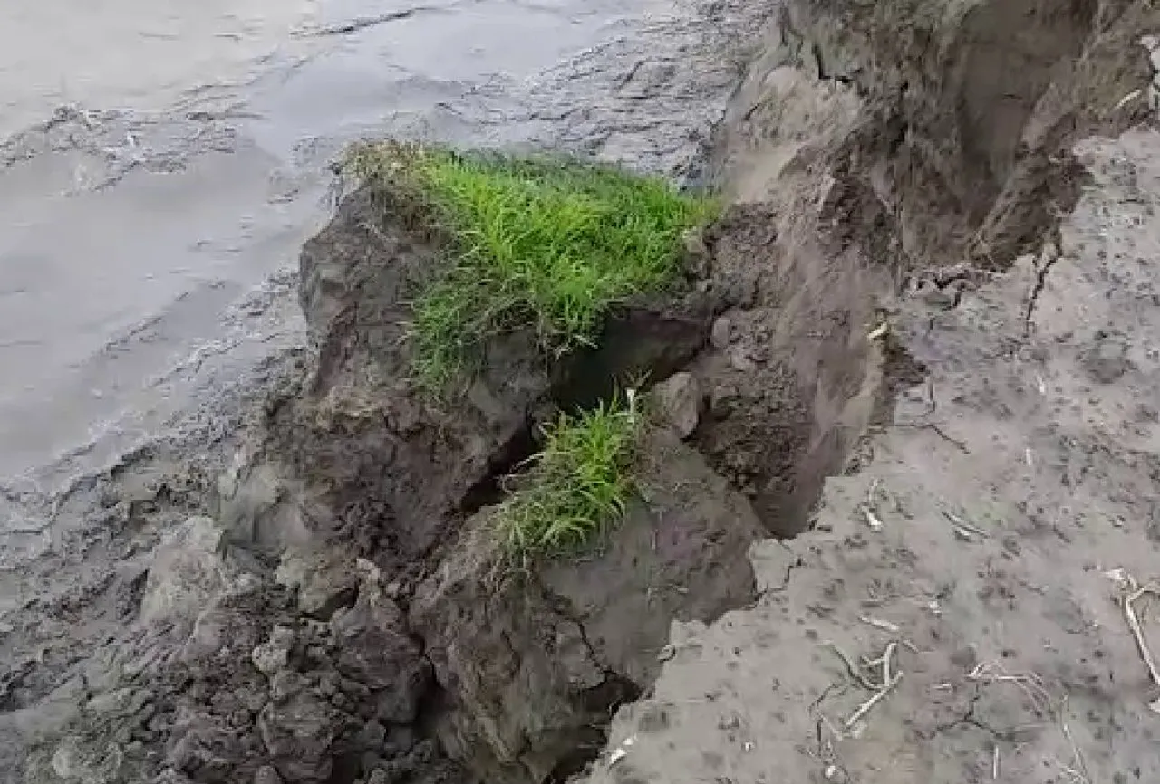 Assam reeling under soil erosion threat