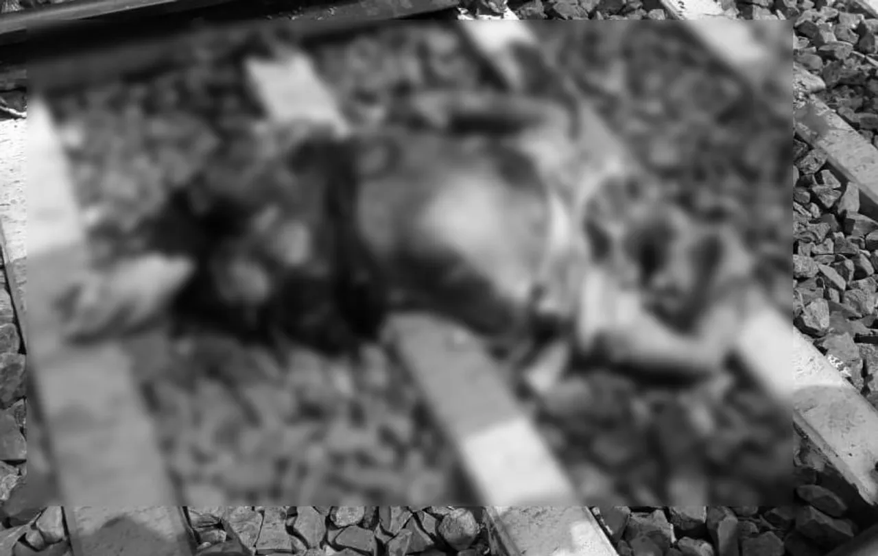 Man dies after being hit by a train in Guwahati
