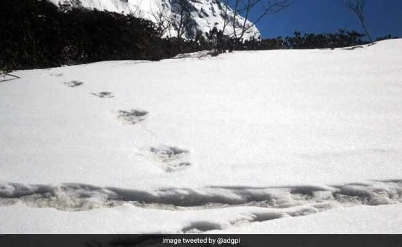 Indian Army tweets mysterious footprints of ‘Yeti’