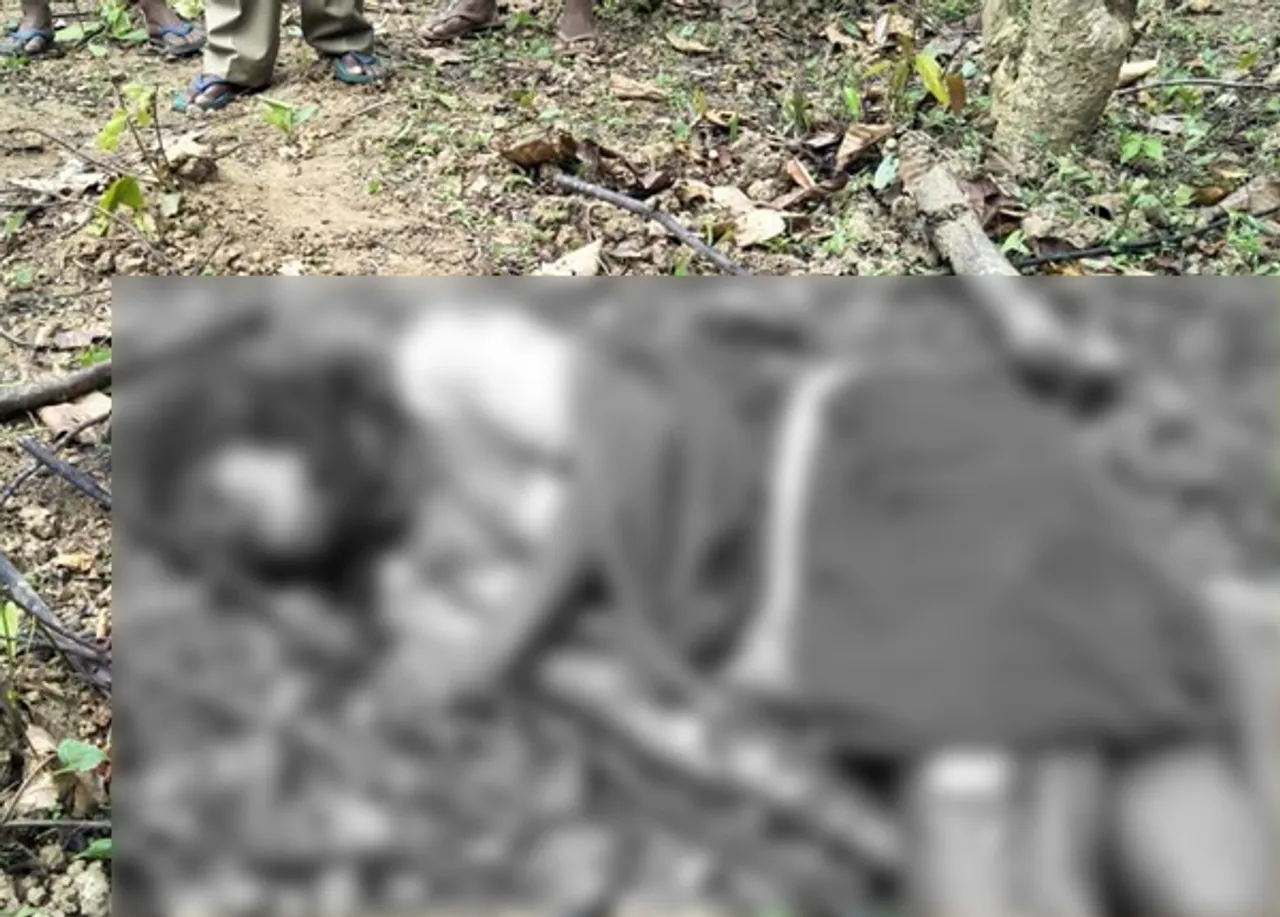 Elderly woman killed in wild elephant attack