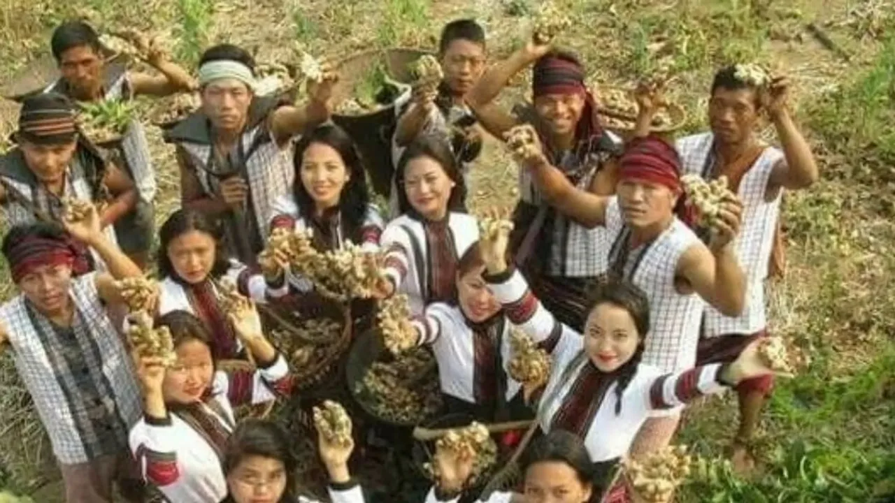 Manipur hosts 2nd Sate Ginger Festival