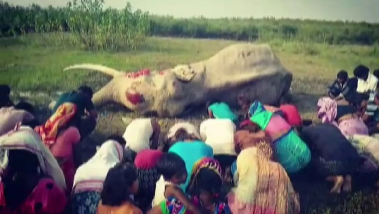 Hatimura Villagers Observes Adya-Shraddha of Burha Baba
