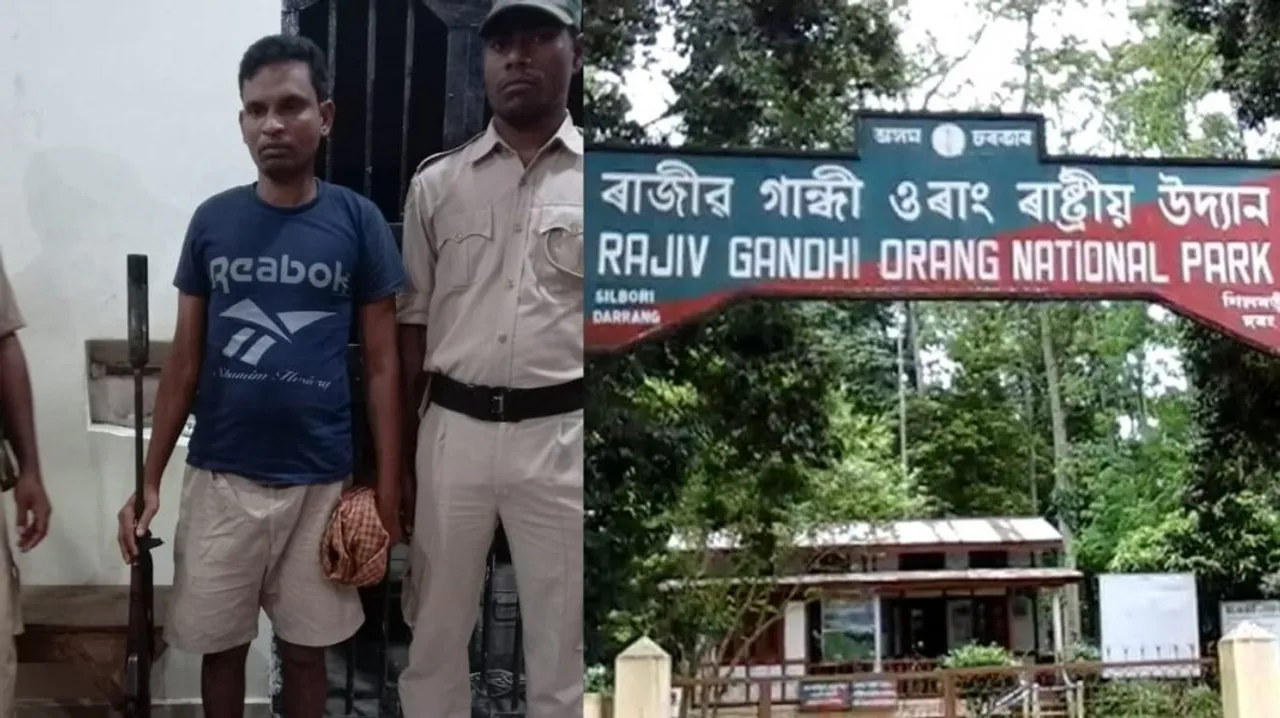 Rhino Poacher Arrested Near Orang National Park