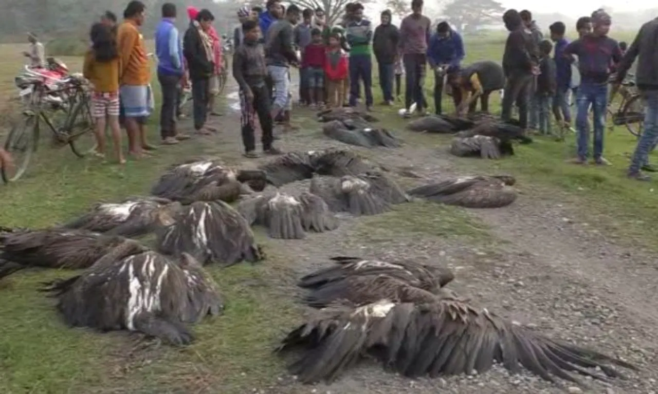 Vultures Death: GHC Passes Unique Verdict