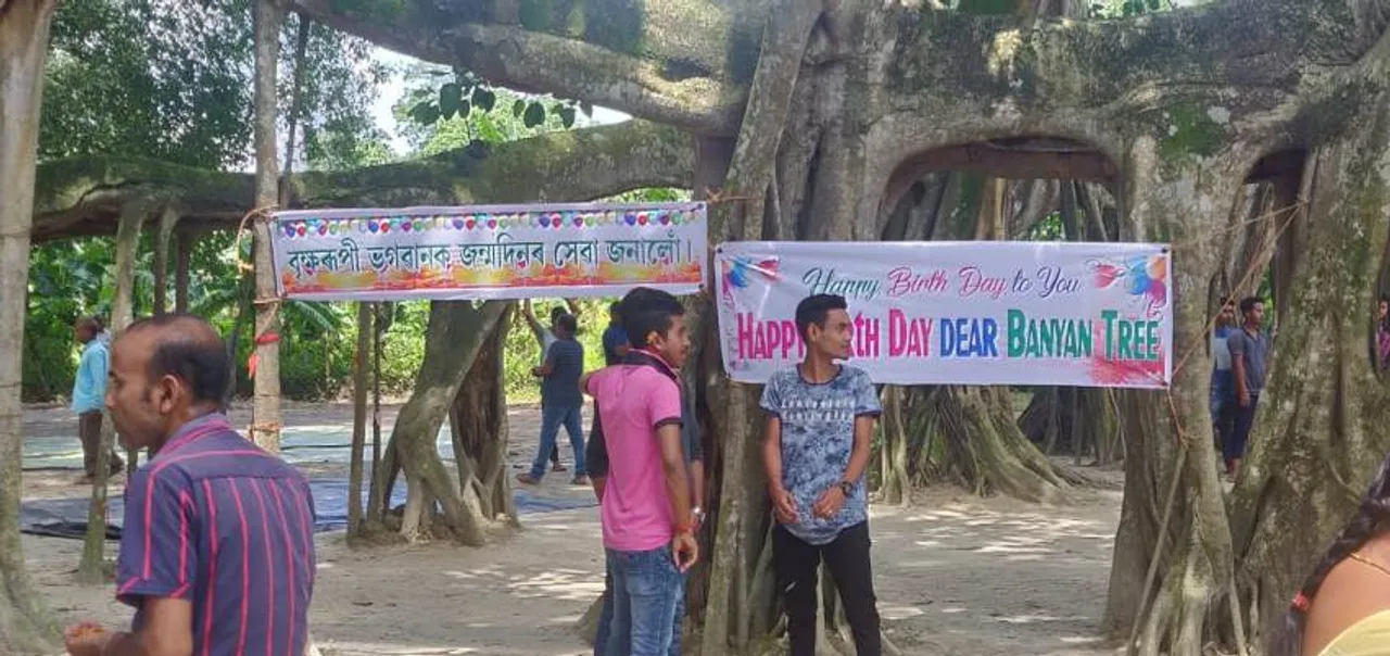 Birthday celebration of 2nd biggest tree in Asia