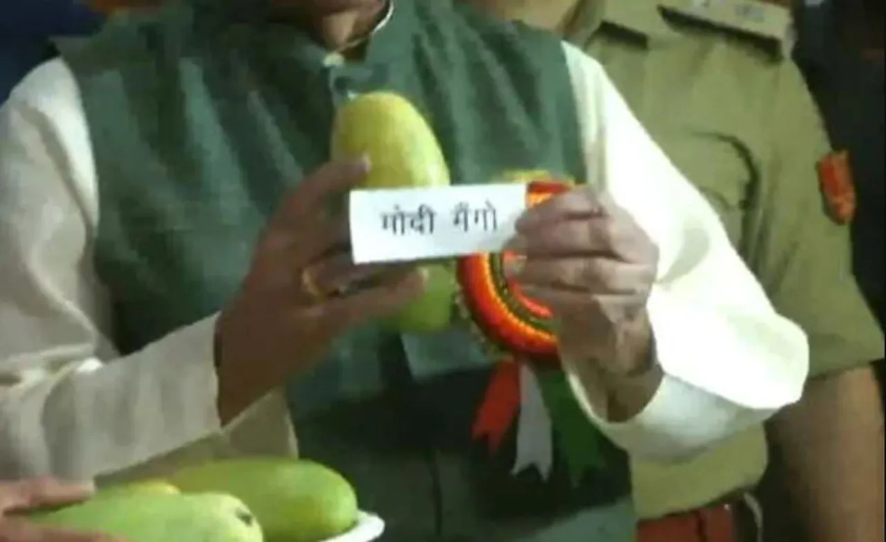 ‘Modi Mango’ rocking Lucknow festival