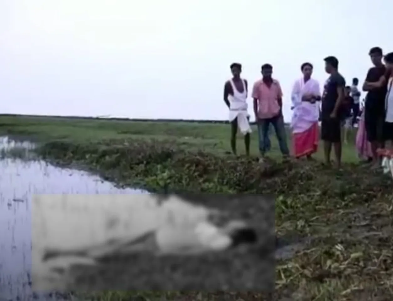 Assam Floods: Elephant herd tramples woman