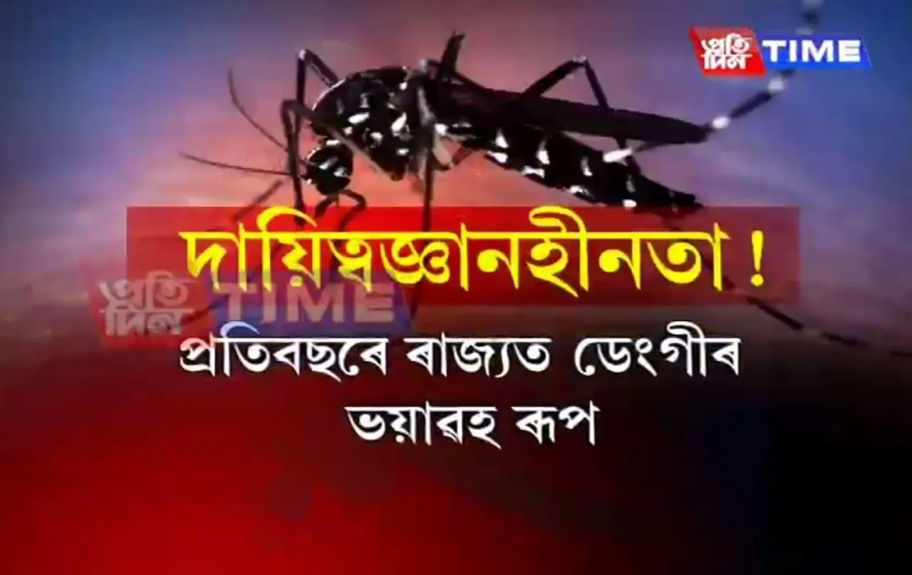 GMC lacks mechanism to tackle dengue