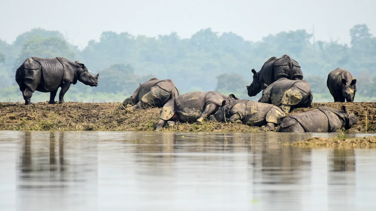 Kaziranga Witnessed Worst Flood This Year