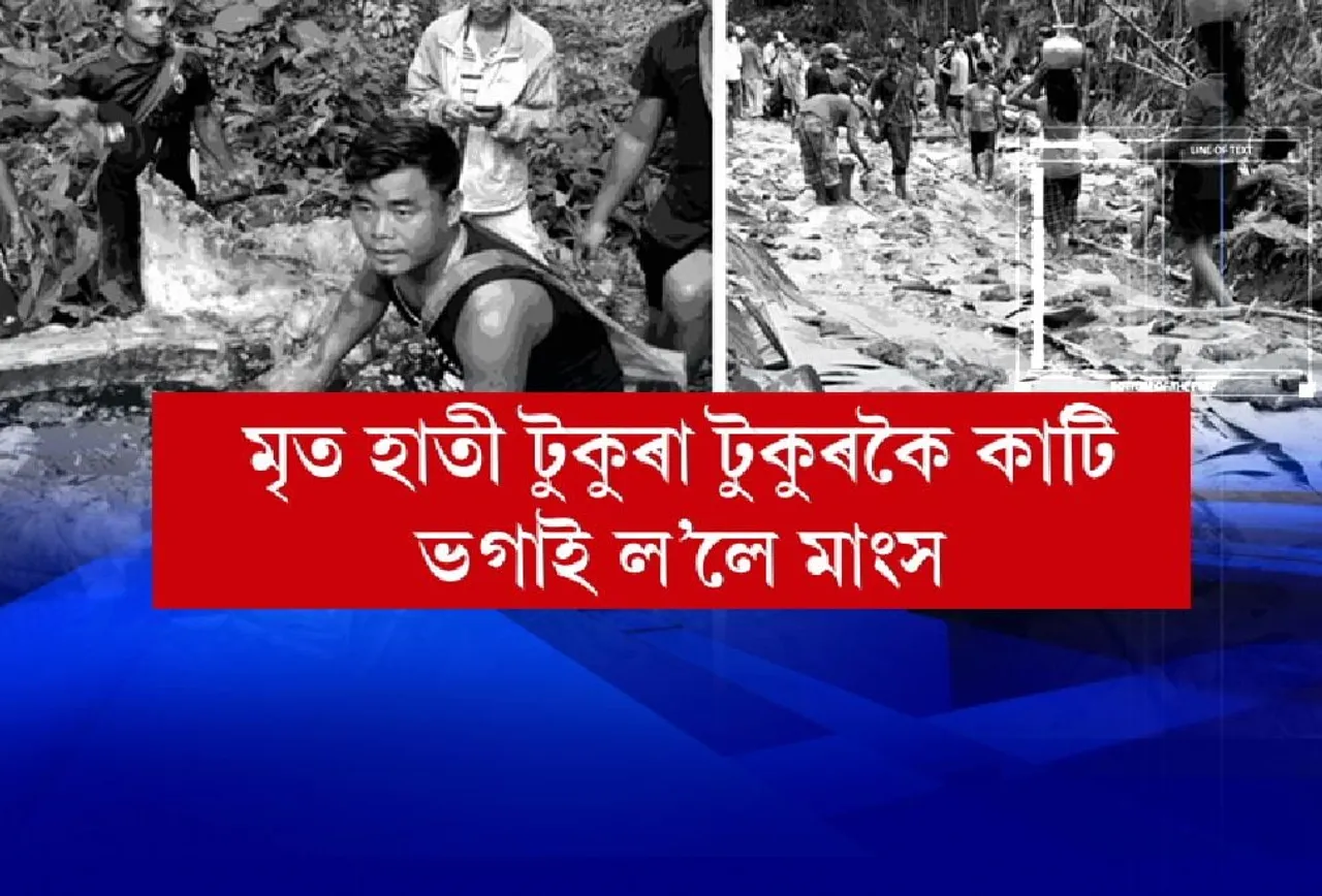 Mizo people feast on Assam Elephant’s meat