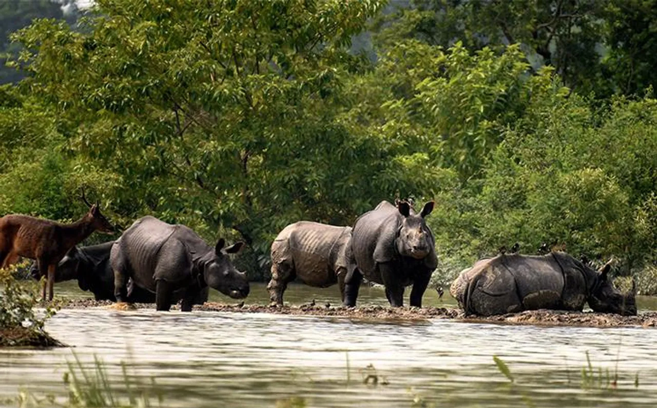 Kaziranga & Pobitora Reels Under Flood
