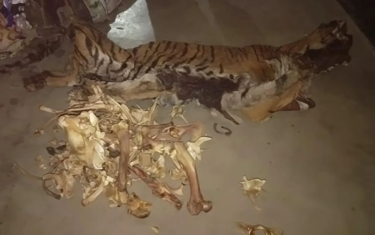 One held with tiger skin, bones in Howraghat