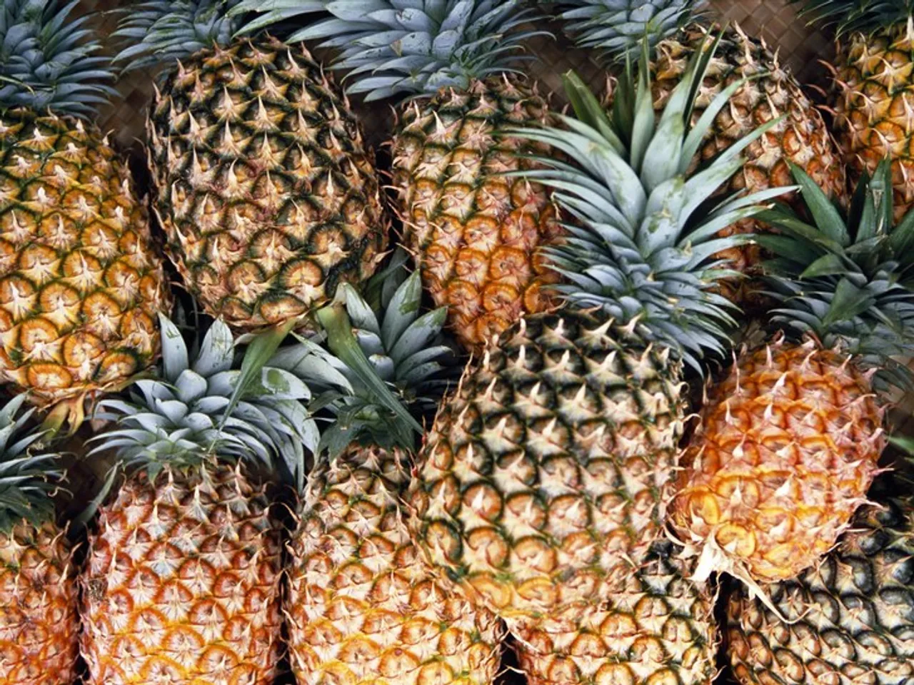 Dubai Imports 17-Tonne Pineapple From Tripura