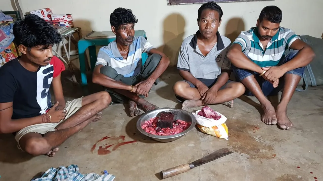 KNP flood | 4 held for hunting deer