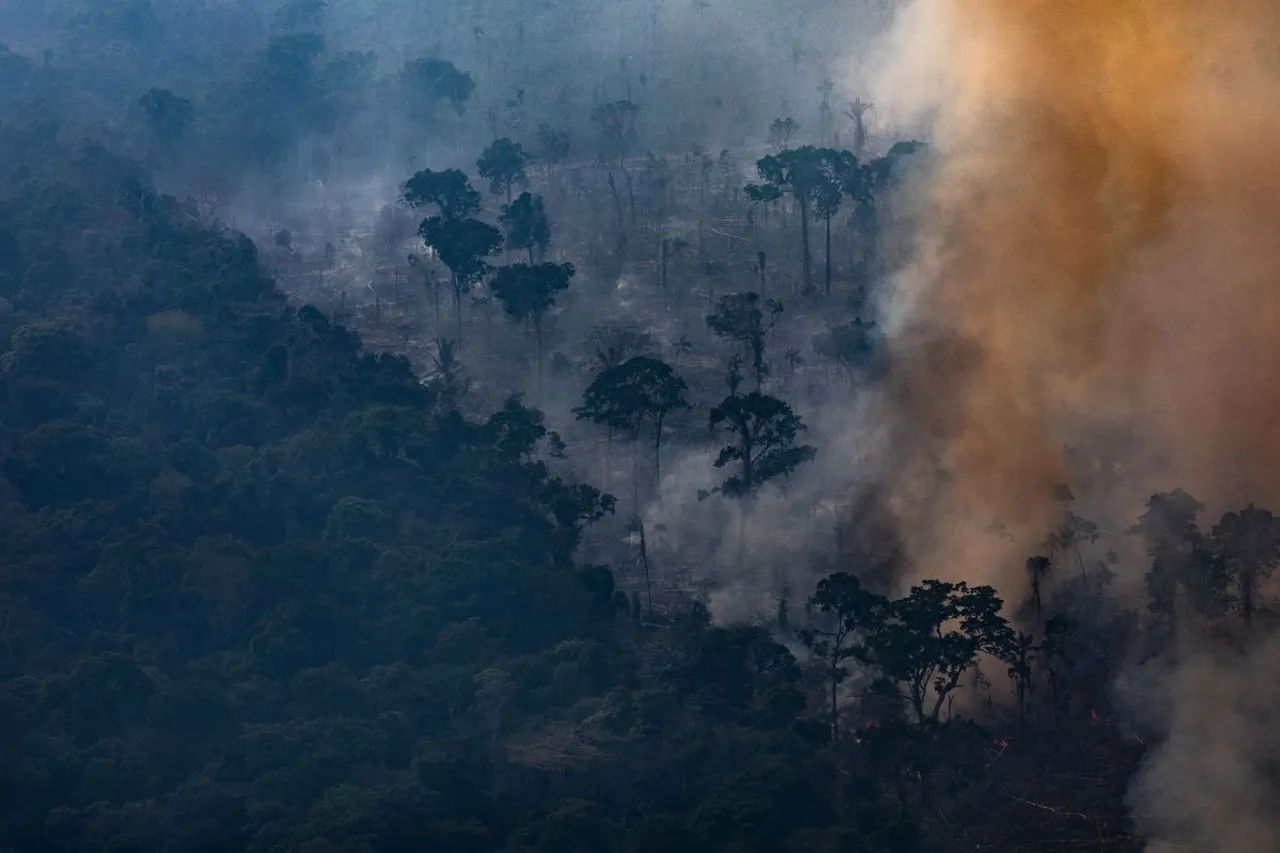 Amazon Fire: Brazilian Prez Criticizes Protection Policies