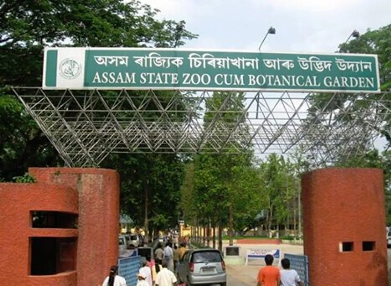 Assam State Zoo Sees Gradual Increase in Visitor Count