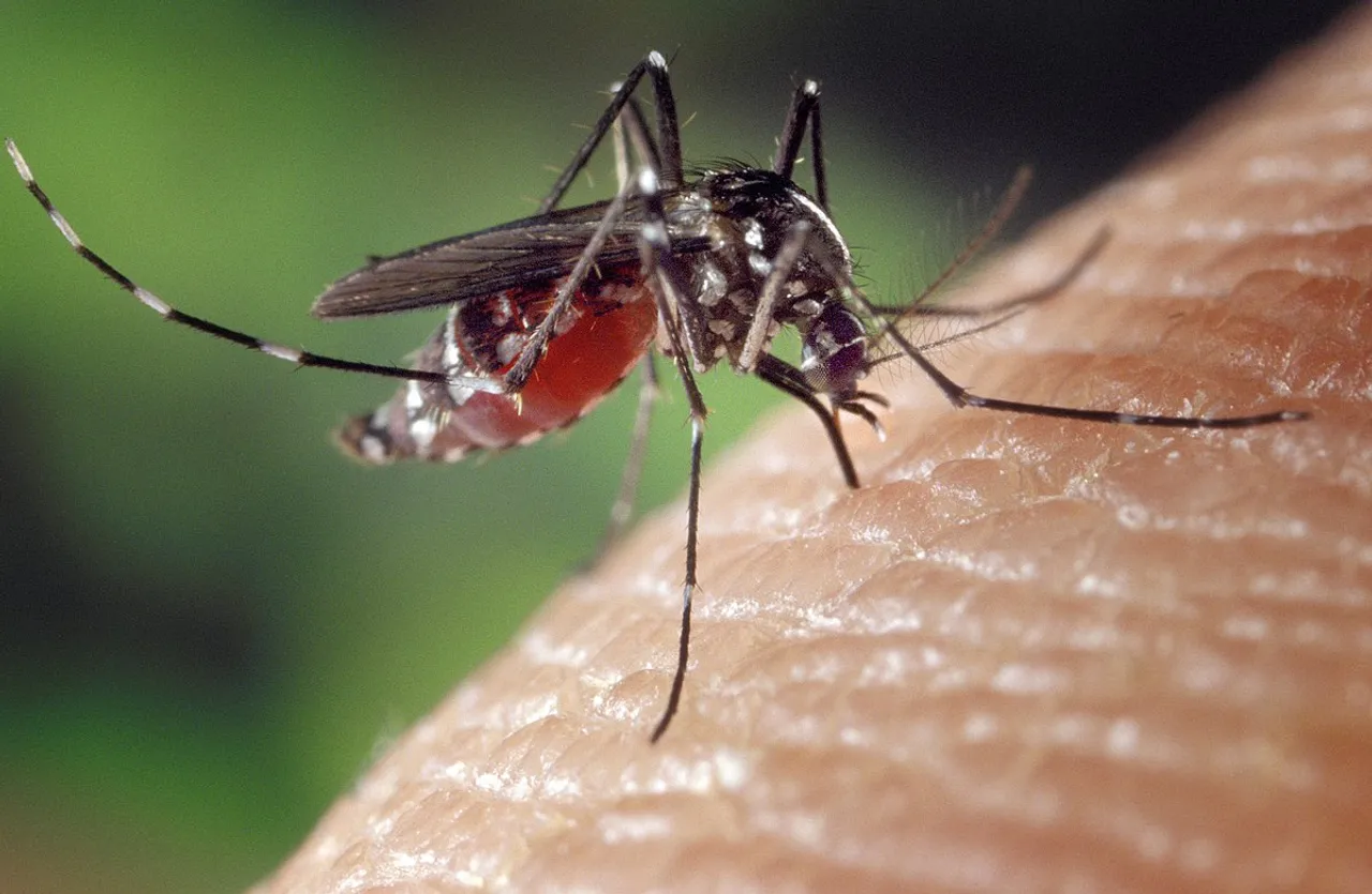 JE Outbreak continues in Assam: One Dead