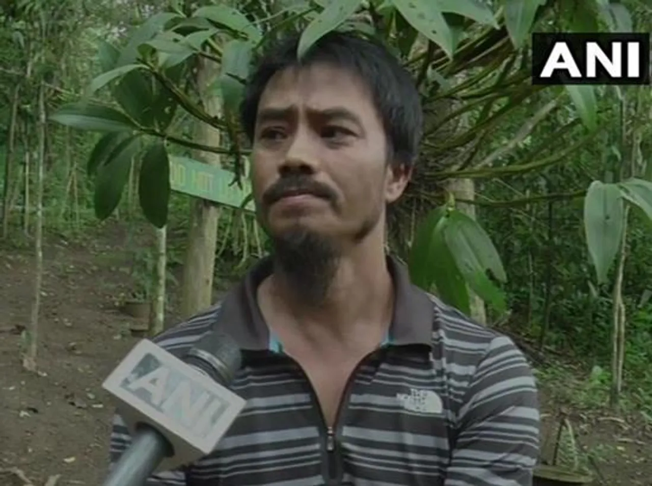 Manipur: Man Re-plants A Forest By Himself