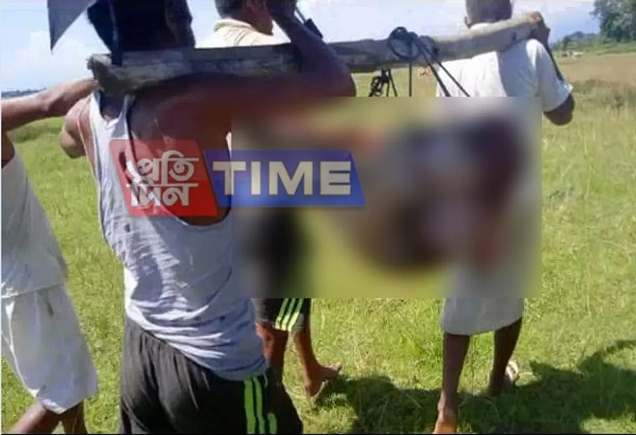 Rare species of deer killed in Gohpur