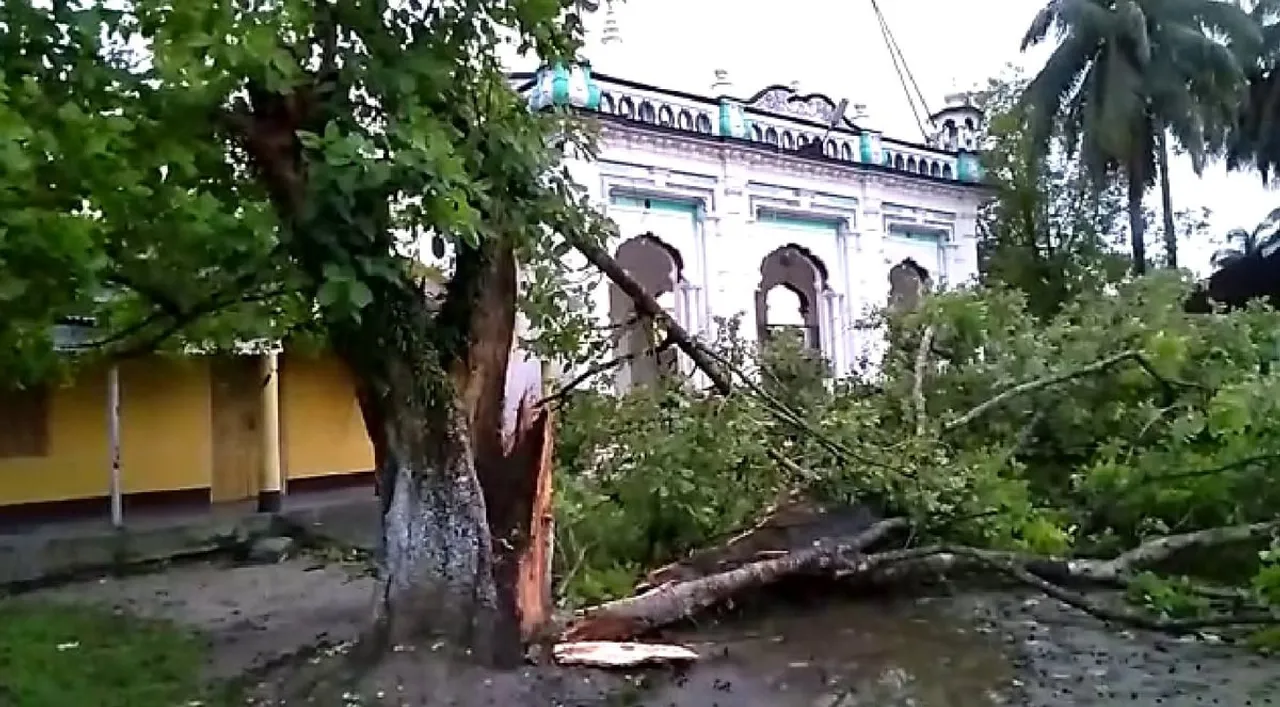 BARPETA | Historic ‘Keli kadam’ Falls in Storm