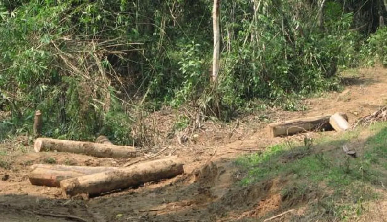 Illegal Logging : NGT Directs Arunachal Govt. To Take Action