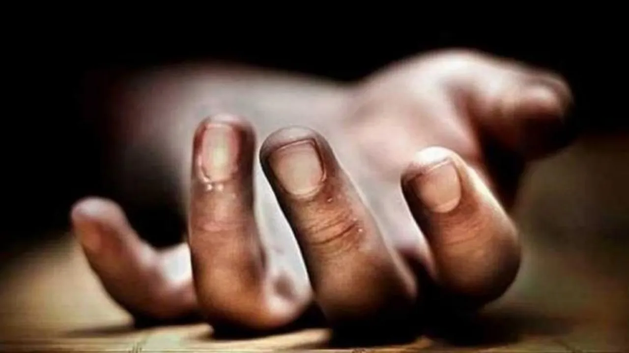 Woman Kills Mother-in-Law with Snakebite to Hide Extramarital Affair