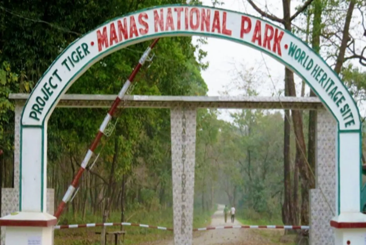 Manas National Park To Reopen from Today