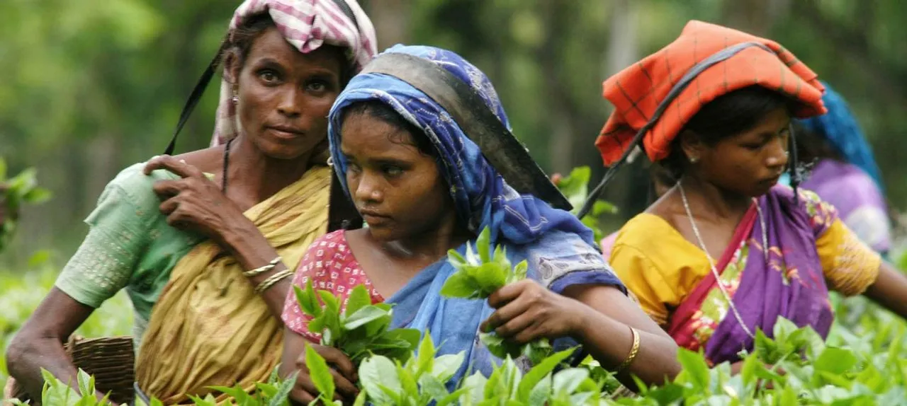 Assam Writer booked for allegedly writing against tea tribes