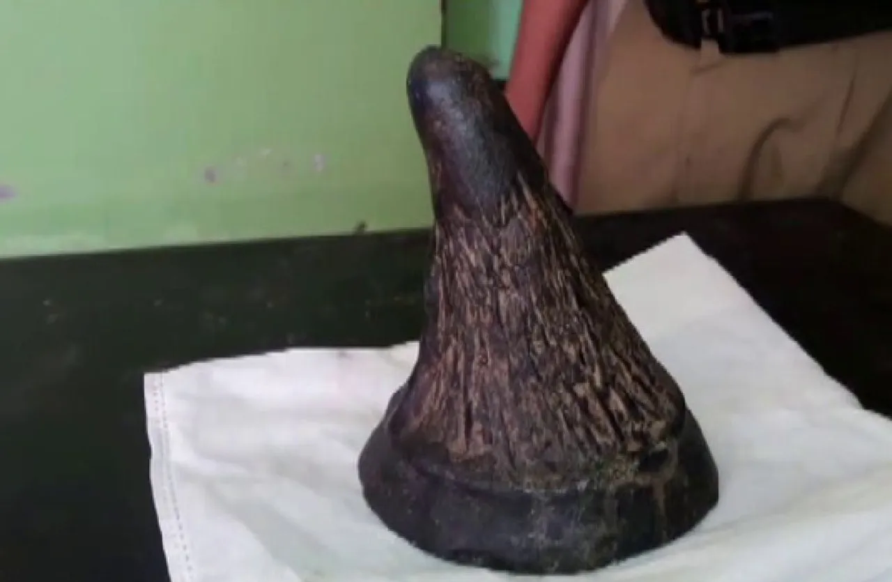 AGP leader allegedly involved in rhino poaching