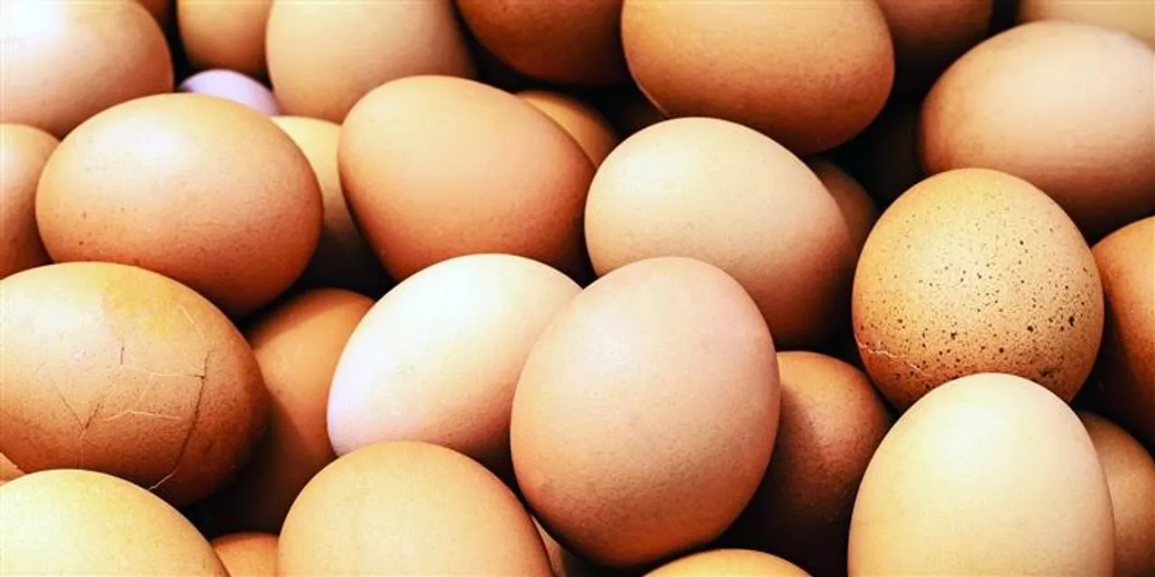 UP Man Dies after eating 41 eggs for Rs. 2K Bet