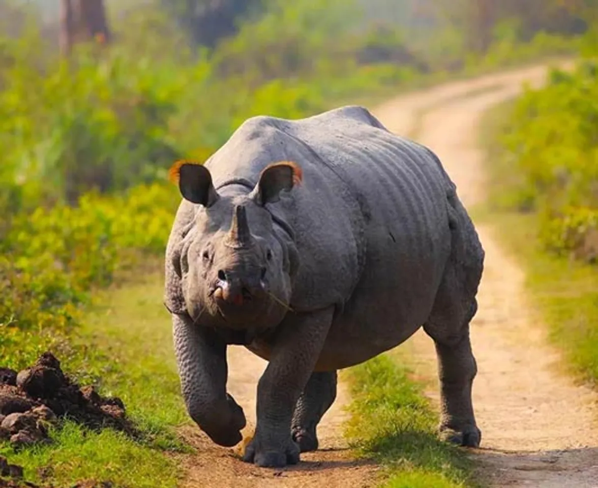 Logo of ‘Kaziranga Utsav’ unveiled