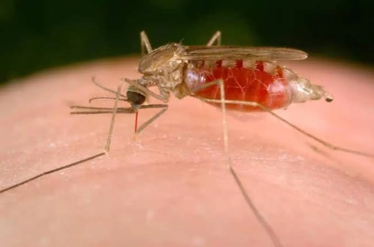 Manipur to achieve malaria-free state by 2021